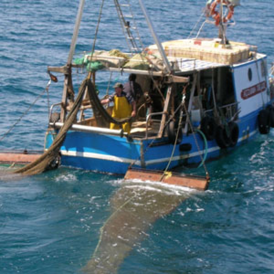 Stato di crisi del settore pesca e acquacoltura in Sicilia