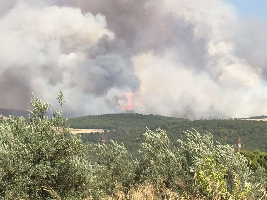 Incendi: subito lo stato di calamità per Chiaramonte Gulfi. Il Governo nazionale verifichi la gestione regionale della campagna antincendio.